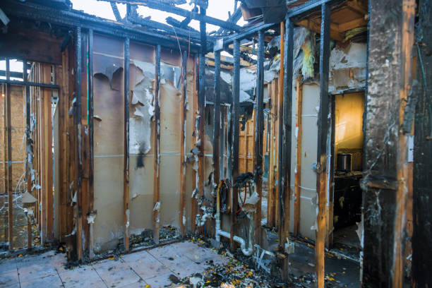 Professional Smoke Damage Removal technician working in Wayzata, MN